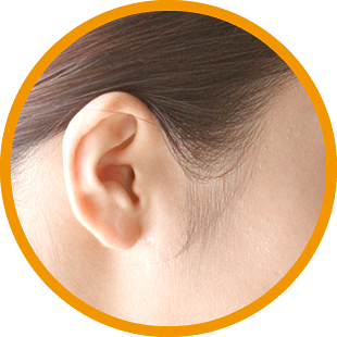 耳についてのイメージ