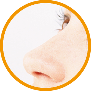 鼻についてのイメージ